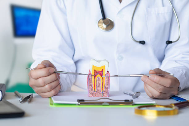 Best Urgent Tooth Repair  in Belton, TX